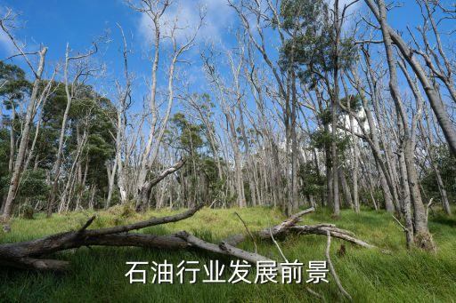 中國致密油產量,致密氣產量