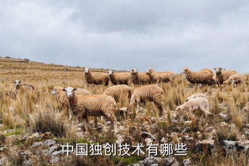 中國獨創(chuàng)技術有哪些