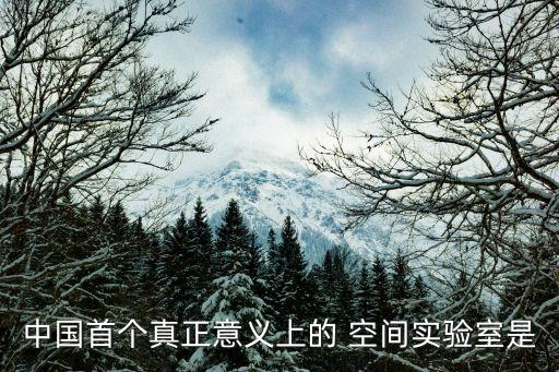 中國空間機(jī)器人,qq空間自動(dòng)評論機(jī)器人
