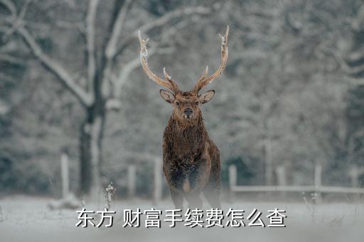 上海東方財富置業(yè)有限公司,揚(yáng)州東方財富金融信息服務(wù)有限公司