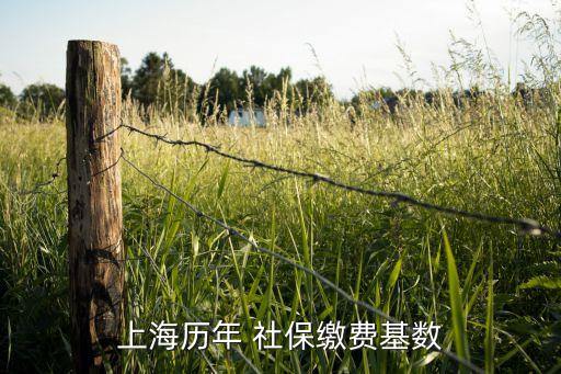 2012社保基金總額,社?；鹂傤~是什么意思