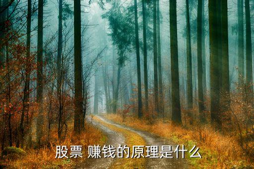  股票 賺錢(qián)的原理是什么