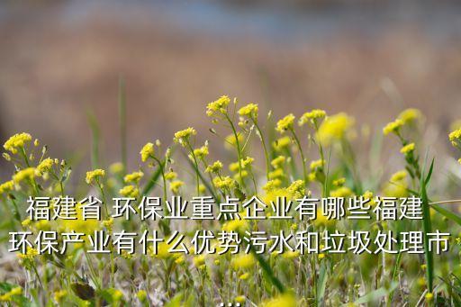 福建省 環(huán)保業(yè)重點企業(yè)有哪些福建 環(huán)保產業(yè)有什么優(yōu)勢污水和垃圾處理市...