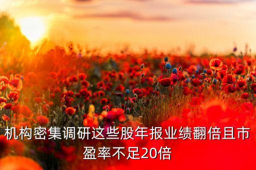 機構密集調研這些股年報業(yè)績翻倍且市盈率不足20倍