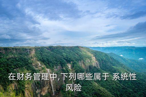 在財務(wù)管理中,下列哪些屬于 系統(tǒng)性 風險