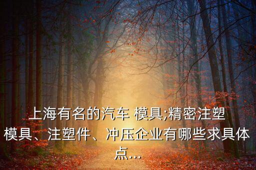  上海有名的汽車 模具;精密注塑 模具、注塑件、沖壓企業(yè)有哪些求具體點(diǎn)...