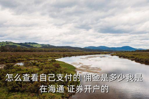 怎么查看自己支付的 傭金是多少我是在海通 證券開(kāi)戶(hù)的