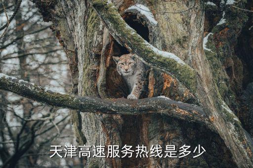 天津鑫宇高速公路有限責(zé)任公司,天津宇君時培訓(xùn)學(xué)校有限責(zé)任公司