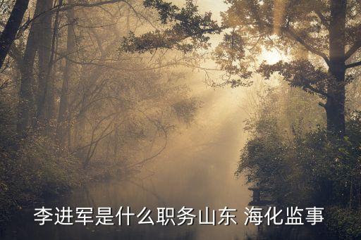 李進軍是什么職務山東 ?；O(jiān)事