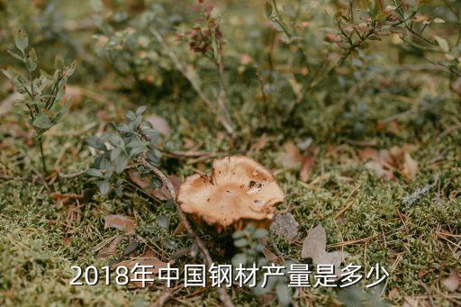 中國鋼鐵行業(yè)數(shù)據(jù),數(shù)據(jù)資產(chǎn)在鋼鐵行業(yè)的價(jià)值