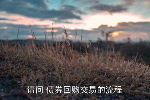 請(qǐng)問 債券回購(gòu)交易的流程