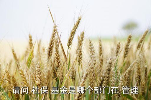 地方社?；鸸芾?社保基金管理提升年工作匯報
