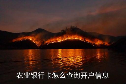 農(nóng)銀貨幣b基金公司客服電話(huà)