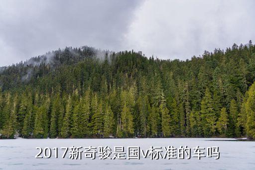 2017新奇駿是國(guó)v標(biāo)準(zhǔn)的車嗎