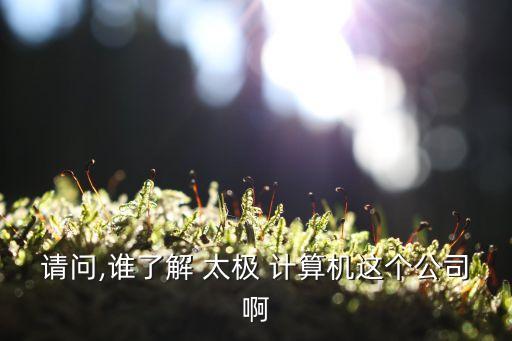 請(qǐng)問,誰(shuí)了解 太極 計(jì)算機(jī)這個(gè)公司啊