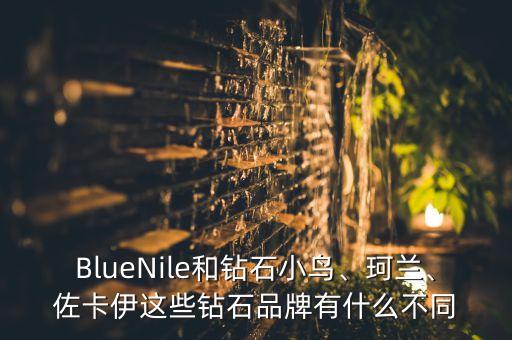 BlueNile和鉆石小鳥、珂蘭、佐卡伊這些鉆石品牌有什么不同