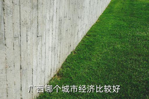 廣西哪個城市經濟比較好