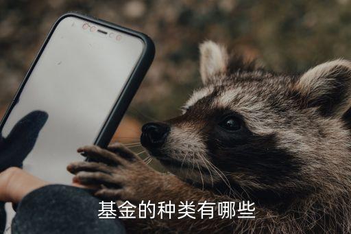  基金的種類(lèi)有哪些