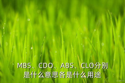 MBS、CDO、ABS、CLO分別是什么意思各是什么用途