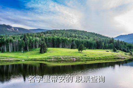 名字里帶安的 股票查詢(xún)