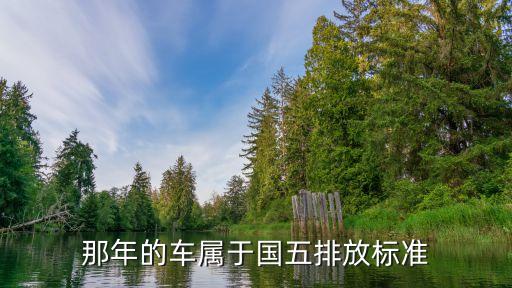那年的車屬于國(guó)五排放標(biāo)準(zhǔn)