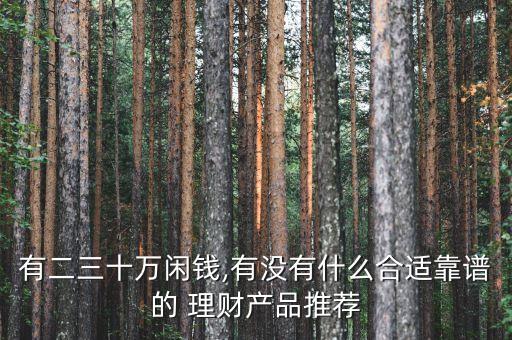 有二三十萬(wàn)閑錢,有沒有什么合適靠譜的 理財(cái)產(chǎn)品推薦