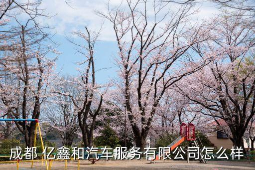 成都 億鑫和汽車(chē)服務(wù)有限公司怎么樣