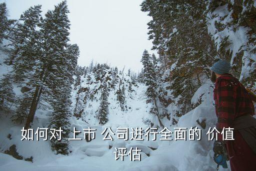 如何對 上市 公司進(jìn)行全面的 價(jià)值評估