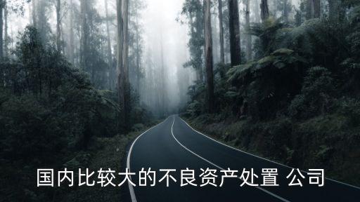 國內比較大的不良資產處置 公司