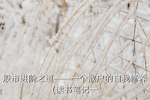 股市進(jìn)階之道——一個(gè)散戶(hù)的自我修養(yǎng)(讀書(shū)筆記一