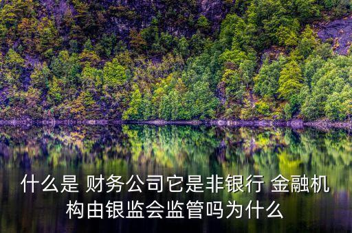 允許財務公司進行股權(quán)投資金融機構(gòu)的意義
