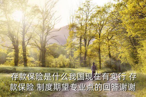  存款保險是什么我國現在有實行 存款保險 制度期望專業(yè)點的回答謝謝
