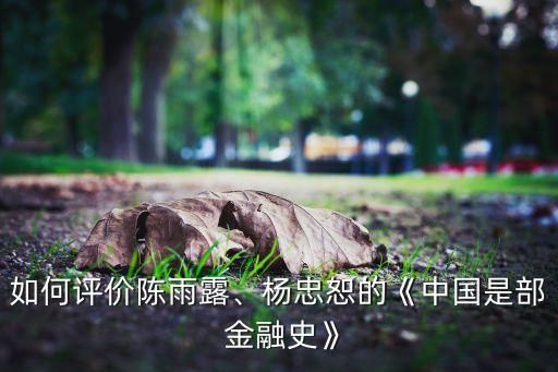 如何評價(jià)陳雨露、楊忠恕的《中國是部 金融史》