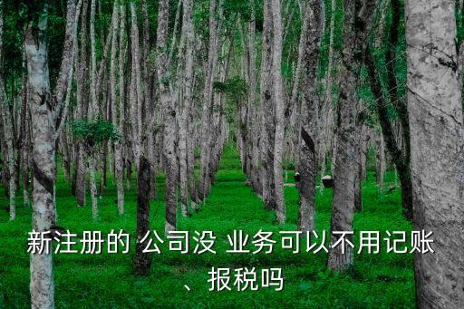 新注冊的 公司沒 業(yè)務(wù)可以不用記賬、報(bào)稅嗎