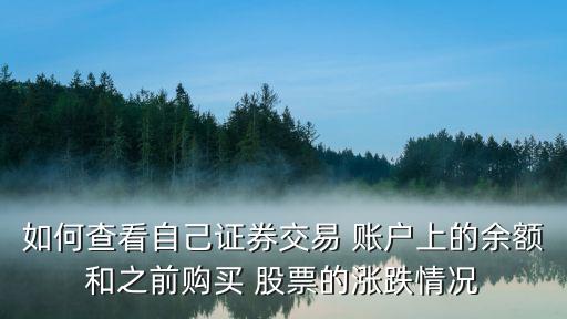如何查看自己證券交易 賬戶上的余額和之前購(gòu)買 股票的漲跌情況