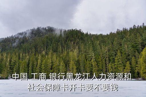 中國(guó) 工商 銀行黑龍江人力資源和 社會(huì)保障卡開(kāi)卡要不要錢(qián)