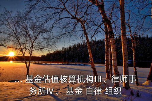 ... 基金估值核算機(jī)構(gòu)Ⅲ、律師事務(wù)所Ⅳ、 基金 自律 組織