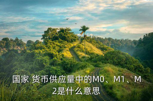 國(guó)家 貨幣供應(yīng)量中的M0、M1、M2是什么意思