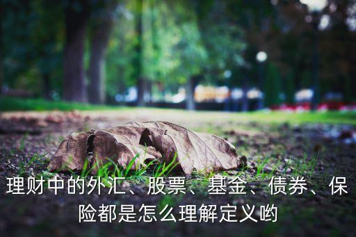 理財(cái)中的外匯、股票、基金、債券、保險(xiǎn)都是怎么理解定義喲