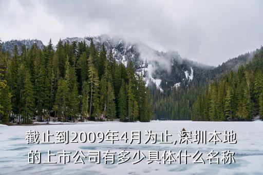 截止到2009年4月為止,深圳本地的上市公司有多少具體什么名稱(chēng)