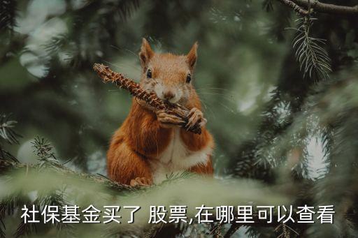 社?；鹳I了 股票,在哪里可以查看