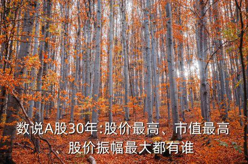 數(shù)說A股30年:股價(jià)最高、市值最高、股價(jià)振幅最大都有誰