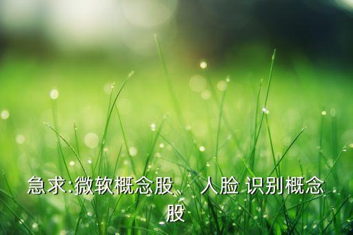 急求:微軟概念股、 人臉 識別概念股
