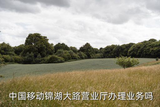  中國移動(dòng)錦湖大路營(yíng)業(yè)廳辦理業(yè)務(wù)嗎