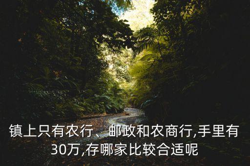 鎮(zhèn)上只有農(nóng)行、郵政和農(nóng)商行,手里有30萬,存哪家比較合適呢