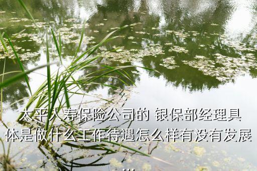  太平人壽保險公司的 銀保部經理具體是做什么工作待遇怎么樣有沒有發(fā)展...