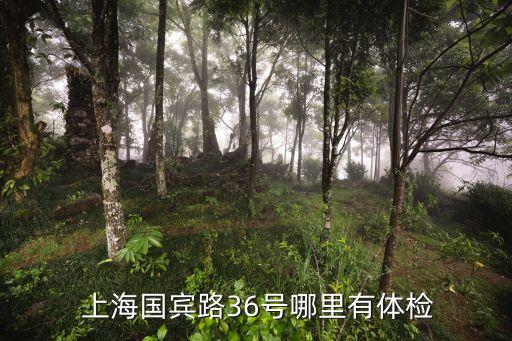  上海國賓路36號(hào)哪里有體檢