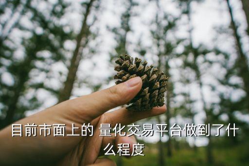 量化投資的應用現狀及發(fā)展前景,無線網絡技術應用現狀及發(fā)展前景
