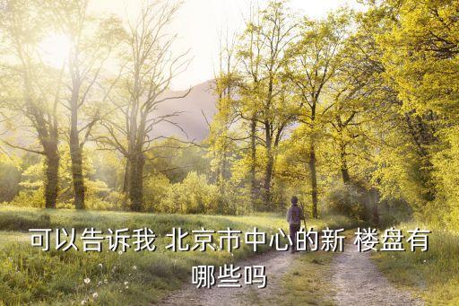 可以告訴我 北京市中心的新 樓盤(pán)有哪些嗎