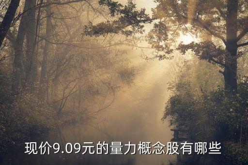 現價9.09元的量力概念股有哪些